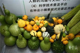 第十五屆昆明農(nóng)博會開幕啦，快收下這份逛展攻略，周末約起！